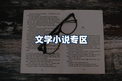 文学小说PDF展示